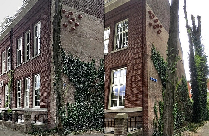 gierzwaluwpotten aan gevel in Rotterdam