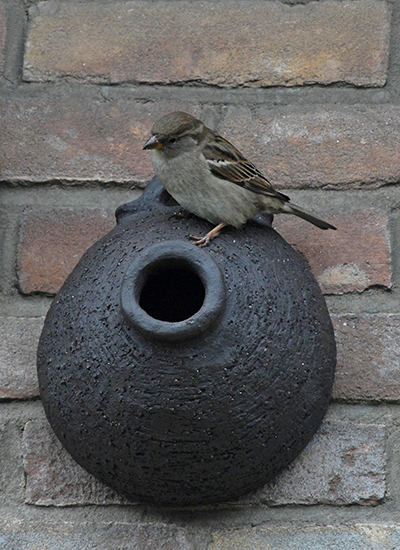 vrouwtje huismus op de nestpot