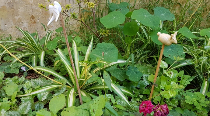 stokdiertje in Lissabon