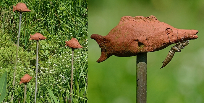 larvehuid van libel op stokdiertje