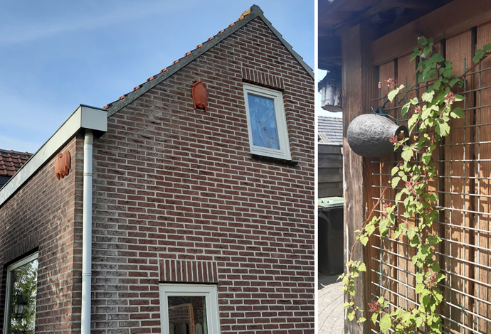 diverse potten aan gevels